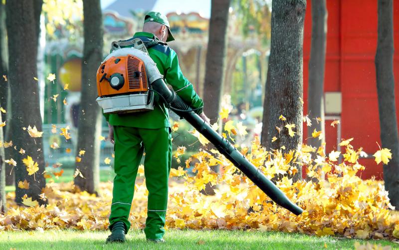 Seasonal Cleanup